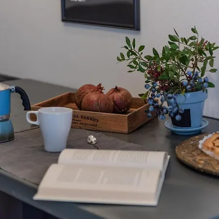 Confortevole Nel Cuore Del Centro Storico 公寓